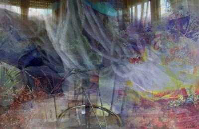 cameraviva-by cristina bove