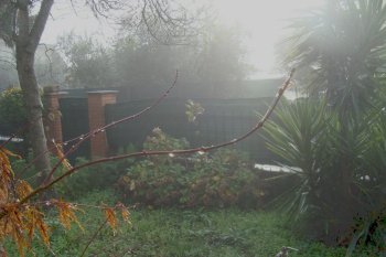 pioggia e nebbia- by Cristina Bove