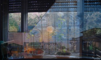 mescolando  case 2- by criBo