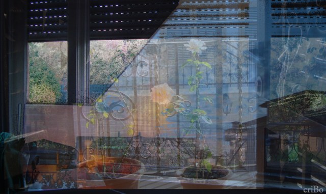 mescolando  case 2- by criBo