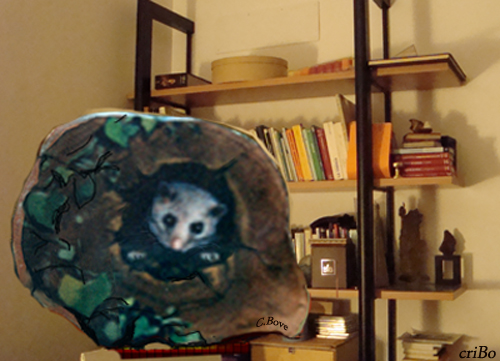 ghiro buon 2913 - by criBo