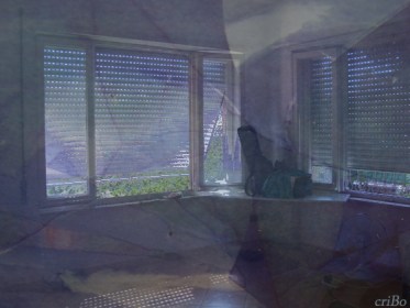 al di qua delle persiane  - by criBo