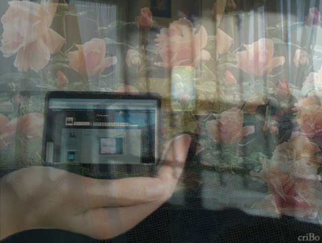 mano, pc e rose - by criBo