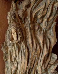 corteccia (particolare) by criBo