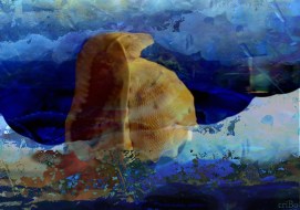 conchiglia - by criBo