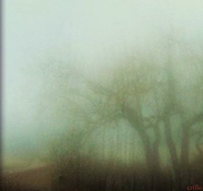 nebbia - by criBo