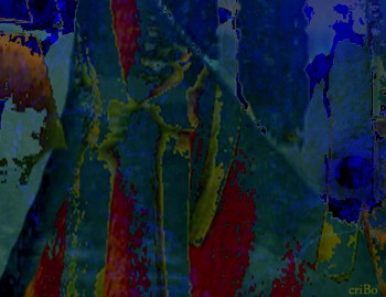 virante al rosso - by criBo (2)