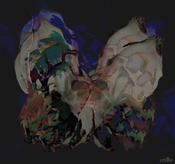 acheronthia - by criBo