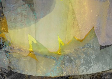 spicchi di sole - by criBo