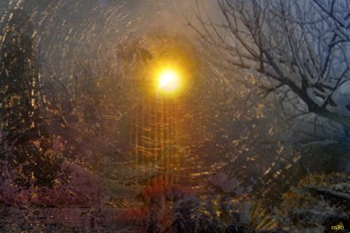 luminosita 2 -by criBo