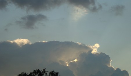 orli di luce - by criBo