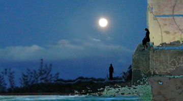 dai ruderi wp - by criBo